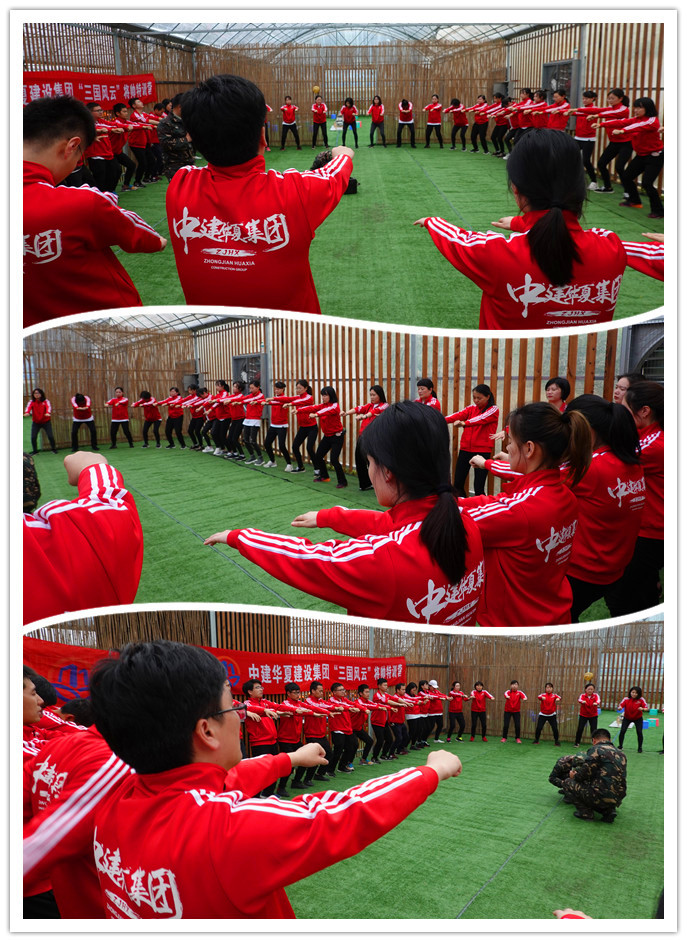 1555377780305232.jpg 17_副本.jpg